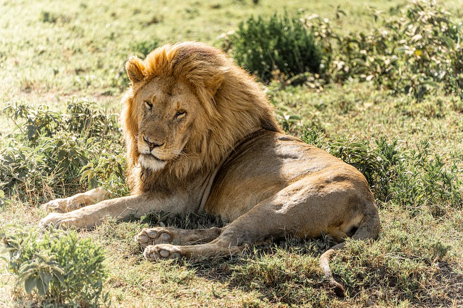 Waehrung Suedafrika Rand